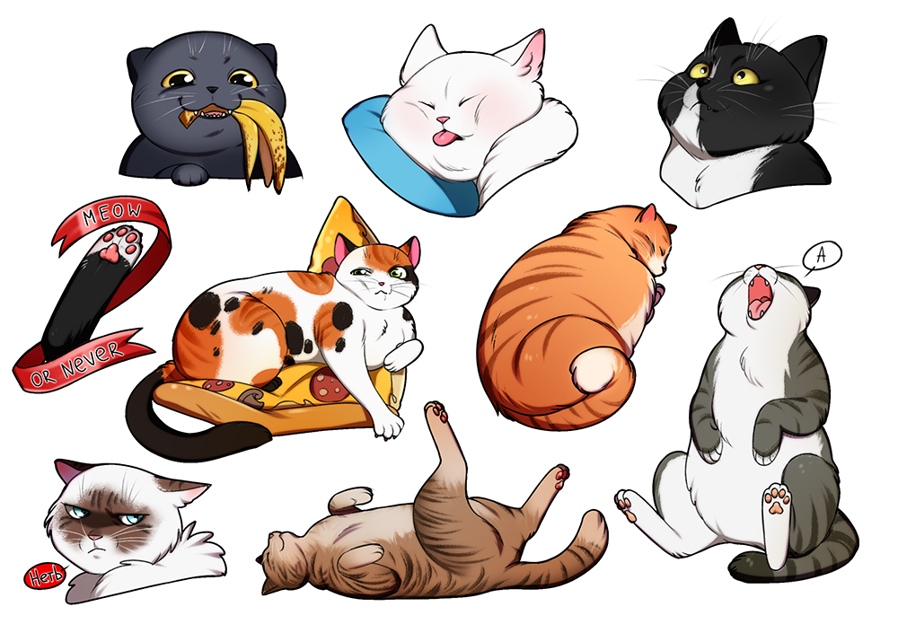 Все мемные коты на одной картинки